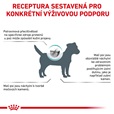 Royal Canin VD Dog Dry Hypoallergenic Small HDS24 1 kg - Veterinární diety pro psy