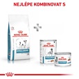 Royal Canin VD Dog Dry Hypoallergenic Small HDS24 1 kg - Veterinární diety pro psy