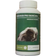 Roboran pro morčata plv 60 g - Morče