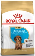 Royal Canin BREED Jezevčík Puppy 1,5 kg - Granule pro psy