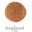 Royal Canin VD Dog Dry Gastro Intestinal Moderate Calorie 2 kg - Granule pro psy