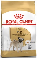 Royal Canin BREED Mops 1,5 kg - Granule pro psy