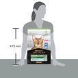 Pro Plan Cat Adult Sterilised Renal Plus králík 3 kg - Akční nabídka