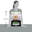 Pro Plan Cat Adult Sterilised Renal Plus krůta 3 kg - Granule pro kočky, krmivo pro kočky