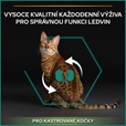 Pro Plan Cat Adult Sterilised Renal Plus losos 3 kg - Granule pro kočky, krmivo pro kočky