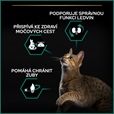 Pro Plan Cat Adult Sterilised Renal Plus losos 3 kg - Granule pro kočky, krmivo pro kočky