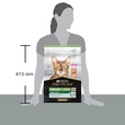 Pro Plan Cat Adult Sterilised Renal Plus losos 3 kg - Granule pro kočky, krmivo pro kočky