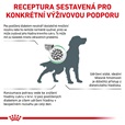 Royal Canin VD Dog Dry Diabetic 1,5 kg - Granule pro psy