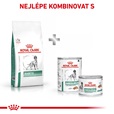 Royal Canin VD Dog Dry Diabetic 12 kg - Veterinární diety pro psy