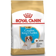 Royal Canin BREED Kavalír King Charles Puppy 1,5 kg - Granule pro psy