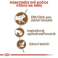 Royal Canin Ageing 12+ in Jelly 85 g - Konzervy pro kočky