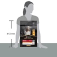 Pro Plan Medium Adult Everyday Nutrition kuře 3 kg - Granule pro psy