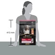 Pro Plan Medium Adult Sensitive Skin losos 3 kg - Akční nabídka