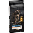 Pro Plan Large Adult Robust Everyday Nutrition kuře 14 kg - Granule pro psy