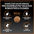 Pro Plan Large Adult Robust Everyday Nutrition kuře 14 kg - Granule pro psy