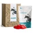 Geloren HA 1350g (3x450g) - višeň - Kůň
