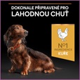 Pro Plan Small & Mini Adult 9+ Age Defence kuře 3 kg - Akční nabídka