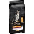 Pro Plan Medium & Large Adult 7+ Age Defence kuře 14 kg - Akční nabídka