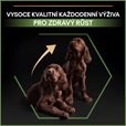 Pro Plan Large Puppy Athletic Healthy Start kuře 12 kg - Granule pro psy