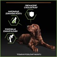 Pro Plan Large Puppy Athletic Healthy Start kuře 12 kg - Granule pro psy