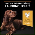 Pro Plan Large Puppy Athletic Healthy Start kuře 12 kg - Granule pro psy