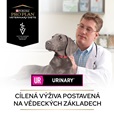 Purina PPVD Canine - UR Urinary 3 kg - Granule pro psy