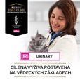 Purina PPVD Feline - UR Urinary Chicken 5 kg - Veterinární diety pro kočky
