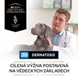 Purina PPVD Canine - DRM Dermatosis 12 kg - Granule pro psy