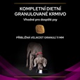 Purina PPVD Canine - UR Urinary 12 kg - Granule pro psy