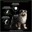 Pro Plan Puppy Medium Healthy Start kuře 12 kg + 2 kg zdarma - Granule pro psy