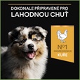 Pro Plan Puppy Medium Healthy Start kuře 12 kg + 2 kg zdarma - Granule pro psy