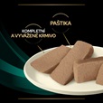 Purina PPVD Canine - EN Gastrointestinal 400 g konzerva - Veterinární diety pro psy