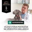 Purina PPVD Canine - EN Gastrointestinal 12 kg - Granule pro psy