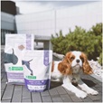 Nature's Protection Adult Mini Lamb 2 kg - Granule pro psy
