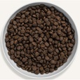 Canagan Scottish Salmon 4 kg - Granule pro kočky, krmivo pro kočky