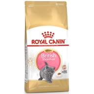 Royal Canin Feline BREED Kitten Br. Shorthair 10 kg - Granule pro kočky, krmivo pro kočky
