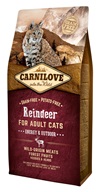 Carnilove Reindeer for Adult Cats Energy & Outdoor 6 kg - Granule pro kočky, krmivo pro kočky