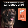 Pro Plan Large Adult Robust Sensitive Skin losos 14 kg - Akční nabídka