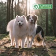 Nature's Protection Active Sport 4 kg - Granule pro psy