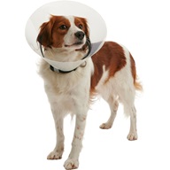 Buster límec  clic collar 10 cm - Ostatní