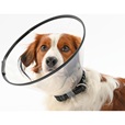 Buster límec  Comfort clic collar 12,5 cm - Domácí lékárna