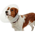 Buster límec  Transparent classic 12,5 cm - Domácí lékárna