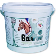 GelaPony Vitamín 1,8 kg - Doplňky výživy pro koně