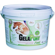 Gelapony Fast a.u.v. plv 600g - Doplňky výživy pro koně