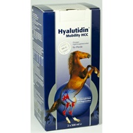 Hyalutidin HCC pro koně 2x500ml - Doplňky výživy pro koně