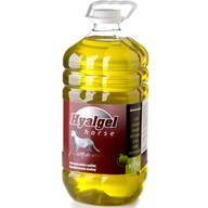 Hyalgel Horse jablko 5l - Doplňky výživy pro koně