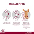 Advantix spot-on pro psy 10-25 kg 1x 2,5 ml - Letní tipy