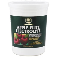 Farnam Elite Electrolyte plv 2,27kg - Doplňky výživy pro koně