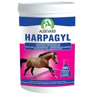 Harpagyl 450g - Doplňky výživy pro koně
