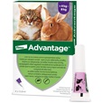 Advantage spot-on pro velké kočky a králíky nad 4 kg 4x 0,8 ml - Letní tipy
